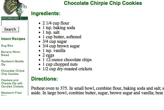 Tasty Insect Recipes